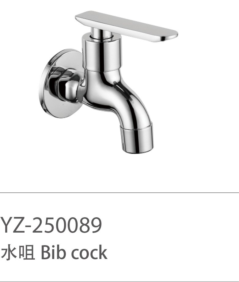 YZ-250089